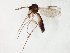  ( - TSZD-JKJ-107570)  @11 [ ] CreativeCommons - Attribution Non-Commercial Share-Alike (2019) Unspecified Tromsø University Museum