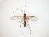  ( - TSZD-JKJ-107575)  @11 [ ] CreativeCommons - Attribution Non-Commercial Share-Alike (2019) Unspecified Tromsø University Museum