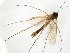  ( - TSZD-JKJ-107577)  @12 [ ] CreativeCommons - Attribution Non-Commercial Share-Alike (2019) Unspecified Tromsø University Museum
