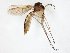  ( - TSZD-JKJ-107585)  @13 [ ] CreativeCommons - Attribution Non-Commercial Share-Alike (2019) Unspecified Tromsø University Museum