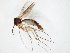  ( - TSZD-JKJ-107591)  @11 [ ] CreativeCommons - Attribution Non-Commercial Share-Alike (2019) Unspecified Tromsø University Museum