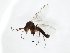  ( - TSZD-JKJ-107612)  @11 [ ] CreativeCommons - Attribution Non-Commercial Share-Alike (2019) Unspecified Tromsø University Museum