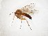  ( - TSZD-JKJ-107626)  @11 [ ] CreativeCommons - Attribution Non-Commercial Share-Alike (2019) Unspecified Tromsø University Museum