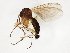 ( - TSZD-JKJ-107627)  @11 [ ] CreativeCommons - Attribution Non-Commercial Share-Alike (2019) Unspecified Tromsø University Museum