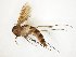 ( - TSZD-JKJ-107667)  @13 [ ] CreativeCommons - Attribution Non-Commercial Share-Alike (2019) Unspecified Tromsø University Museum
