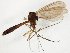  ( - TSZD-JKJ-107685)  @13 [ ] CreativeCommons - Attribution Non-Commercial Share-Alike (2019) Unspecified Tromsø University Museum
