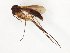  ( - TSZD-JKJ-107762)  @11 [ ] CreativeCommons - Attribution Non-Commercial Share-Alike (2019) Unspecified Tromsø University Museum