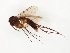  ( - TSZD-JKJ-107764)  @11 [ ] CreativeCommons - Attribution Non-Commercial Share-Alike (2019) Unspecified Tromsø University Museum
