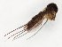  ( - TSZD-JKJ-107765)  @11 [ ] CreativeCommons - Attribution Non-Commercial Share-Alike (2019) Unspecified Tromsø University Museum