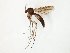 ( - TSZD-JKJ-107777)  @11 [ ] CreativeCommons - Attribution Non-Commercial Share-Alike (2019) Unspecified Tromsø University Museum
