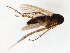  ( - TSZD-JKJ-107781)  @11 [ ] CreativeCommons - Attribution Non-Commercial Share-Alike (2019) Unspecified Tromsø University Museum