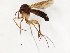  ( - TSZD-JKJ-107787)  @11 [ ] CreativeCommons - Attribution Non-Commercial Share-Alike (2019) Unspecified Tromsø University Museum