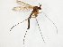  ( - TSZD-JKJ-107791)  @11 [ ] CreativeCommons - Attribution Non-Commercial Share-Alike (2019) Unspecified Tromsø University Museum