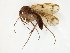  ( - TSZD-JKJ-107792)  @11 [ ] CreativeCommons - Attribution Non-Commercial Share-Alike (2019) Unspecified Tromsø University Museum