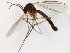  ( - TSZD-JKJ-107806)  @11 [ ] CreativeCommons - Attribution Non-Commercial Share-Alike (2019) Unspecified Tromsø University Museum
