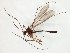  ( - TSZD-JKJ-107812)  @11 [ ] CreativeCommons - Attribution Non-Commercial Share-Alike (2019) Unspecified Tromsø University Museum