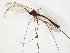  ( - TSZD-JKJ-107813)  @11 [ ] CreativeCommons - Attribution Non-Commercial Share-Alike (2019) Unspecified Tromsø University Museum