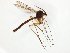 ( - TSZD-JKJ-107814)  @13 [ ] CreativeCommons - Attribution Non-Commercial Share-Alike (2019) Unspecified Tromsø University Museum