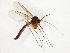 ( - TSZD-JKJ-107815)  @13 [ ] CreativeCommons - Attribution Non-Commercial Share-Alike (2019) Unspecified Tromsø University Museum