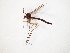  ( - TSZD-JKJ-107816)  @13 [ ] CreativeCommons - Attribution Non-Commercial Share-Alike (2019) Unspecified Tromsø University Museum