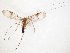  ( - TSZD-JKJ-107823)  @12 [ ] CreativeCommons - Attribution Non-Commercial Share-Alike (2019) Unspecified Tromsø University Museum