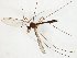  ( - TSZD-JKJ-107827)  @11 [ ] CreativeCommons - Attribution Non-Commercial Share-Alike (2019) Unspecified Tromsø University Museum