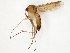  ( - TSZD-JKJ-107842)  @11 [ ] CreativeCommons - Attribution Non-Commercial Share-Alike (2019) Unspecified Tromsø University Museum