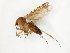  ( - TSZD-JKJ-107843)  @11 [ ] CreativeCommons - Attribution Non-Commercial Share-Alike (2019) Unspecified Tromsø University Museum