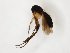  ( - TSZD-JKJ-107901)  @11 [ ] CreativeCommons - Attribution Non-Commercial Share-Alike (2019) Unspecified Tromsø University Museum