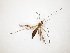  ( - TSZD-JKJ-107906)  @11 [ ] CreativeCommons - Attribution Non-Commercial Share-Alike (2019) Unspecified Tromsø University Museum