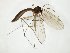  ( - TSZD-JKJ-107924)  @11 [ ] CreativeCommons - Attribution Non-Commercial Share-Alike (2019) Unspecified Tromsø University Museum