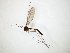  ( - TSZD-JKJ-107925)  @11 [ ] CreativeCommons - Attribution Non-Commercial Share-Alike (2019) Unspecified Tromsø University Museum