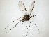  ( - TSZD-JKJ-107926)  @11 [ ] CreativeCommons - Attribution Non-Commercial Share-Alike (2019) Unspecified Tromsø University Museum