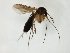  ( - TSZD-JKJ-107932)  @11 [ ] CreativeCommons - Attribution Non-Commercial Share-Alike (2019) Unspecified Tromsø University Museum