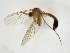 ( - TSZD-JKJ-107943)  @11 [ ] CreativeCommons - Attribution Non-Commercial Share-Alike (2019) Unspecified Tromsø University Museum