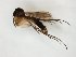  ( - TSZD-JKJ-107948)  @11 [ ] CreativeCommons - Attribution Non-Commercial Share-Alike (2019) Unspecified Tromsø University Museum