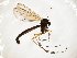  ( - TSZD-JKJ-107957)  @11 [ ] CreativeCommons - Attribution Non-Commercial Share-Alike (2019) Unspecified Tromsø University Museum