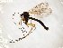  ( - TSZD-JKJ-107958)  @11 [ ] CreativeCommons - Attribution Non-Commercial Share-Alike (2019) Unspecified Tromsø University Museum
