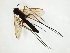  ( - TSZD-JKJ-107961)  @11 [ ] CreativeCommons - Attribution Non-Commercial Share-Alike (2019) Unspecified Tromsø University Museum