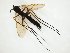  ( - TSZD-JKJ-107961)  @11 [ ] CreativeCommons - Attribution Non-Commercial Share-Alike (2019) Unspecified Tromsø University Museum