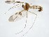  ( - TSZD-JKJ-107969)  @11 [ ] CreativeCommons - Attribution Non-Commercial Share-Alike (2019) Unspecified Tromsø University Museum