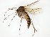  ( - TSZD-JKJ-111205)  @11 [ ] by-nc-sa (2020) Unspecified Tromsø University Museum