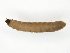  ( - TSZD-JKJ-111740)  @11 [ ] by-nc-sa (2021) Unspecified Tromsø University Museum