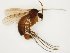  ( - TSZD-JKJ-111841)  @11 [ ] by-nc-sa (2021) Unspecified Tromsø University Museum