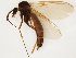  ( - TSZD-JKJ-111856)  @11 [ ] by-nc-sa (2021) Unspecified Tromsø University Museum