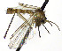  ( - TSZD-JKJ-112481)  @11 [ ] by-nc-sa (2022) Unspecified Forest Resarch Institute