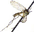  ( - TSZD-JKJ-112489)  @11 [ ] by-nc-sa (2022) Unspecified Forest Resarch Institute