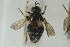  ( - NORSY432)  @11 [ ] CreativeCommons - Attribution Non-Commercial Share-Alike (2015) Arnstein Staverlokk Norwegian Institute of Nature Research