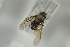  ( - NORSY558)  @13 [ ] CreativeCommons - Attribution Non-Commercial Share-Alike (2015) Arnstein Staverlokk Norwegian Institute of Nature Research