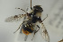 ( - NORSY469)  @13 [ ] CreativeCommons - Attribution Non-Commercial Share-Alike (2015) Arnstein Staverlokk Norwegian Institute of Nature Research